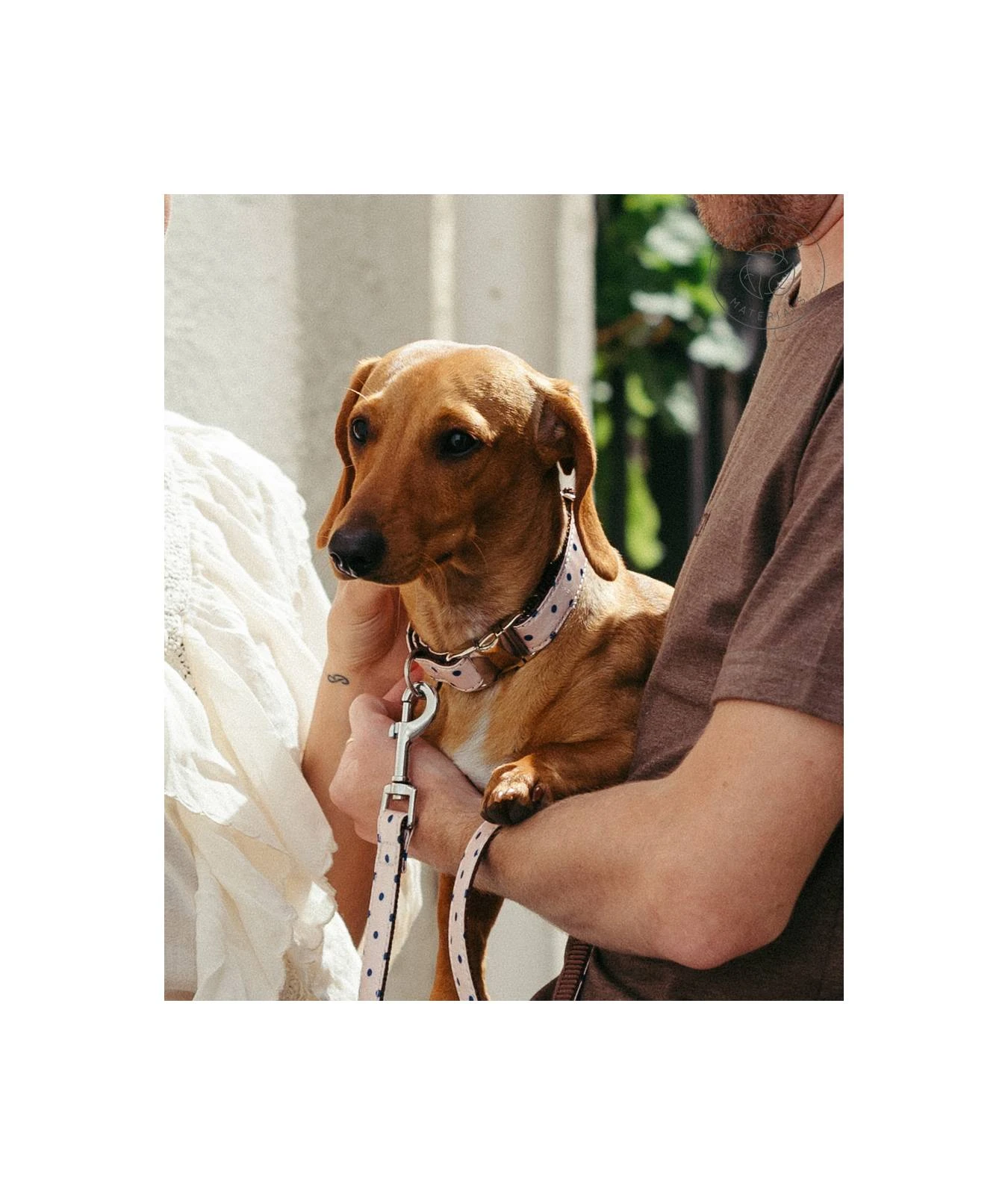 Laisse Pour Chien Sarria 4 Laisse Pour Chien Sarria – Image 2