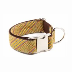 Collier Pour Chien Salardu