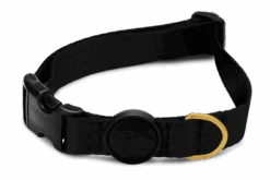 Collier Pour Chien Gold Caviar -Produits Chien Chat Magasin collare gold caviar header top transparent b 1683bc6d e83f 4fee 9002 ea3b91c3db3d