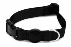 Collier Pour Chien Gold Caviar -Produits Chien Chat Magasin collare pureness header top transparent c