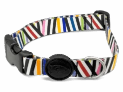 Produits Chien Chat Magasin -Produits Chien Chat Magasin collare spaghetti incident gallery header img 01 v2