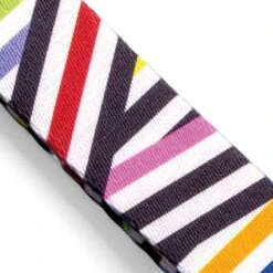 Collier Pour Chien Spaghetti 9 Collier Pour Chien Spaghetti -Produits Chien Chat Magasin collare spaghetti incident mini gallery 03 v2