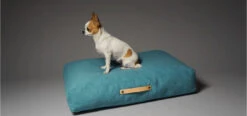 Coussin Pour Chien De Style Nordique 17 Coussin Pour Chien De Style Nordique -Produits Chien Chat Magasin copenhagen 304f93e1 dbea 4096 a2de 8eff2bafeefe