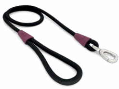 Laisse Pour Chien En Corde Morso