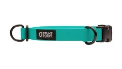 Collier Pour Chien Imperméable En Biothane -Produits Chien Chat Magasin dcs teal 1024x1024 5b11fb85 3252 4a40 81e3 b6118a7ac963