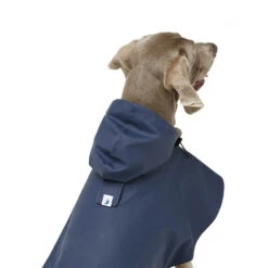 Cape Imperméable William Pour Grands Chiens Et Lévriers 9 Cape Imperméable William Pour Grands Chiens Et Lévriers -Produits Chien Chat Magasin detalle 1