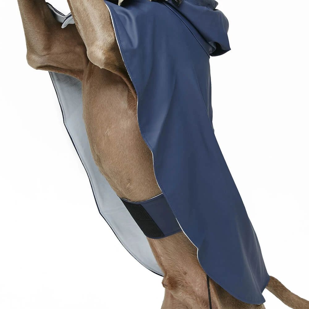 Cape Imperméable William Pour Grands Chiens Et Lévriers 5 Cape Imperméable William Pour Grands Chiens Et Lévriers – Image 3