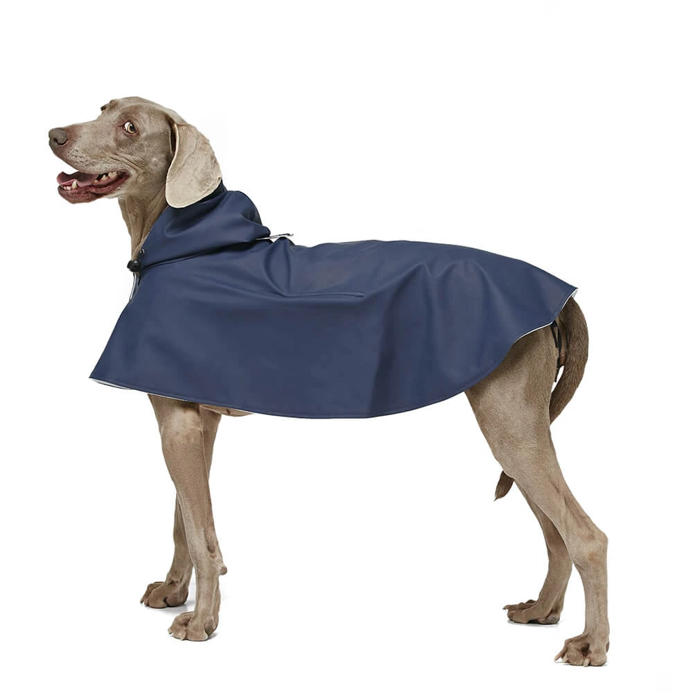 Cape Imperméable William Pour Grands Chiens Et Lévriers 4 Cape Imperméable William Pour Grands Chiens Et Lévriers – Image 2