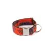Collier Pour Chien Bohème Batea -Produits Chien Chat Magasin dog collar brottdog textura batea