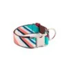 Collier Pour Chien Morisca Classique Et Martingale 2 Collier Pour Chien Morisca Classique Et Martingale -Produits Chien Chat Magasin dog collar brottdog textura morisca