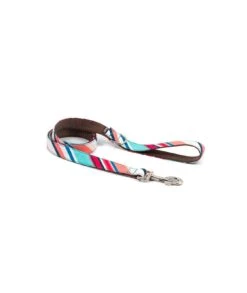 Collier Pour Chien Morisca Classique Et Martingale -Produits Chien Chat Magasin dog collar brottdog textura morisca 42597f3d eb85 41f6 9727 3aaab72dddba