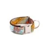 Collier Pour Chien Sacaleta Classique Et Martingale -Produits Chien Chat Magasin dog collar brottdog textura sacaleta