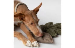 Peluches Pour Chien Feuilles D’arbre -Produits Chien Chat Magasin dog toy 03f6bc6f ecb4 4bd9 bf8c 62b0caeaa46b