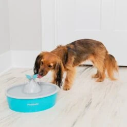 PetSafe Fontaine à Eau Butterfly Drinkwell -Produits Chien Chat Magasin dogdrinkingfountain 1024x1024 2x e345ba43 8a0c 432d 8900 3ca3b79a11b2