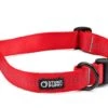 Collier Pour Chien Souple Everyday (3 Couleurs) 1 Collier Pour Chien Souple Everyday (3 Couleurs) -Produits Chien Chat Magasin edc red 1024x1024 f11139c9 f941 4d7a 84fa 1273235b75a3