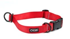 Collier Pour Chien Souple Everyday (3 Couleurs)