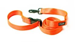 Laisse Souple Everyday (3 Couleurs) -Produits Chien Chat Magasin edl orange 1024x1024 786875b2 0065 4187 b92c b1a63564a098