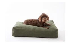 Coussin Pour Chien Elliott En Fibre De Jute (4 Couleurs) -Produits Chien Chat Magasin elliott jute cushions ed87b35c dc71 41f8 adc7 1e108cebccc3