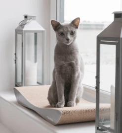 Griffoir En Carton Pour Chat Design TOBI -Produits Chien Chat Magasin eng pl Scratcher TOBI grey 74 9