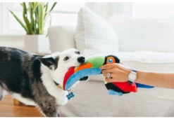 PLAY Peluche Tito Le Toucan -Produits Chien Chat Magasin fetching flock tito the toucan lifestyle image