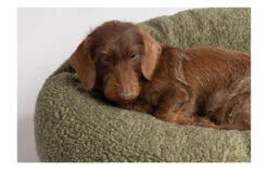 Coussin Apaisant Pour Chien En Laine 10 Coussin Apaisant Pour Chien En Laine -Produits Chien Chat Magasin fulvio wool cushions abba2ee1 7ecc 4a5a a15c 969544bd6308