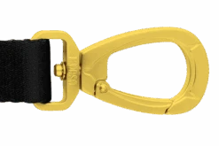 Laisse Gold Caviar -Produits Chien Chat Magasin guinzaglio gold caviar header top trasparente 02 b v2