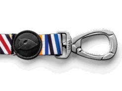 Laisse Spaghetti -Produits Chien Chat Magasin guinzaglio spaghetti incident gallery header img 03 v2