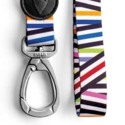 Ceinture De Sécurité Morso -Produits Chien Chat Magasin guinzaglio spaghetti incident mini gallery img 04 v2 1