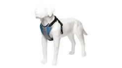 Harnais De Running Pour Chien -Produits Chien Chat Magasin harness blue 3 4 720x b90d0fc6 6902 47b9 82de 4d733c20e99a