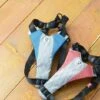 Harnais De Running Pour Chien -Produits Chien Chat Magasin hns 01m 06