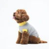 T-shirt En Jersey -Produits Chien Chat Magasin il 1140xN.2928616076 9ayr