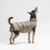 Manteau Pour Petit Chien 2 Manteau Pour Petit Chien -Produits Chien Chat Magasin il 794xN.1684990638 nbr1