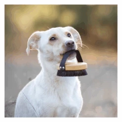 Brosse Pour Poils Courts Lila Loves It 14 Brosse Pour Poils Courts Lila Loves It -Produits Chien Chat Magasin image 3b0cdc38 ad07 4ef0 991c 0d279b6b653c