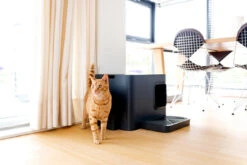 Bac à Litière Pour Chat Hoopo Dome Plus -Produits Chien Chat Magasin image 4344ce67 f84c 4d41 b1a6 44ece2fdbffd