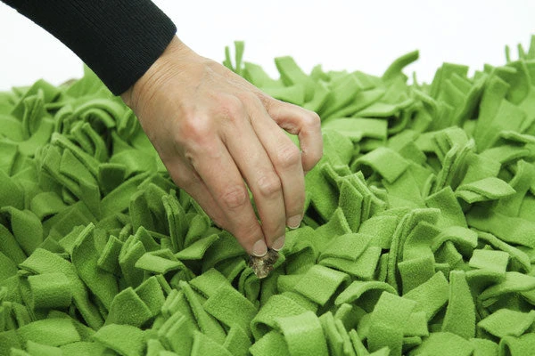 Tapis De Fouille Gazon Schnüffelrasen 5 Tapis De Fouille Gazon Schnüffelrasen – Image 3