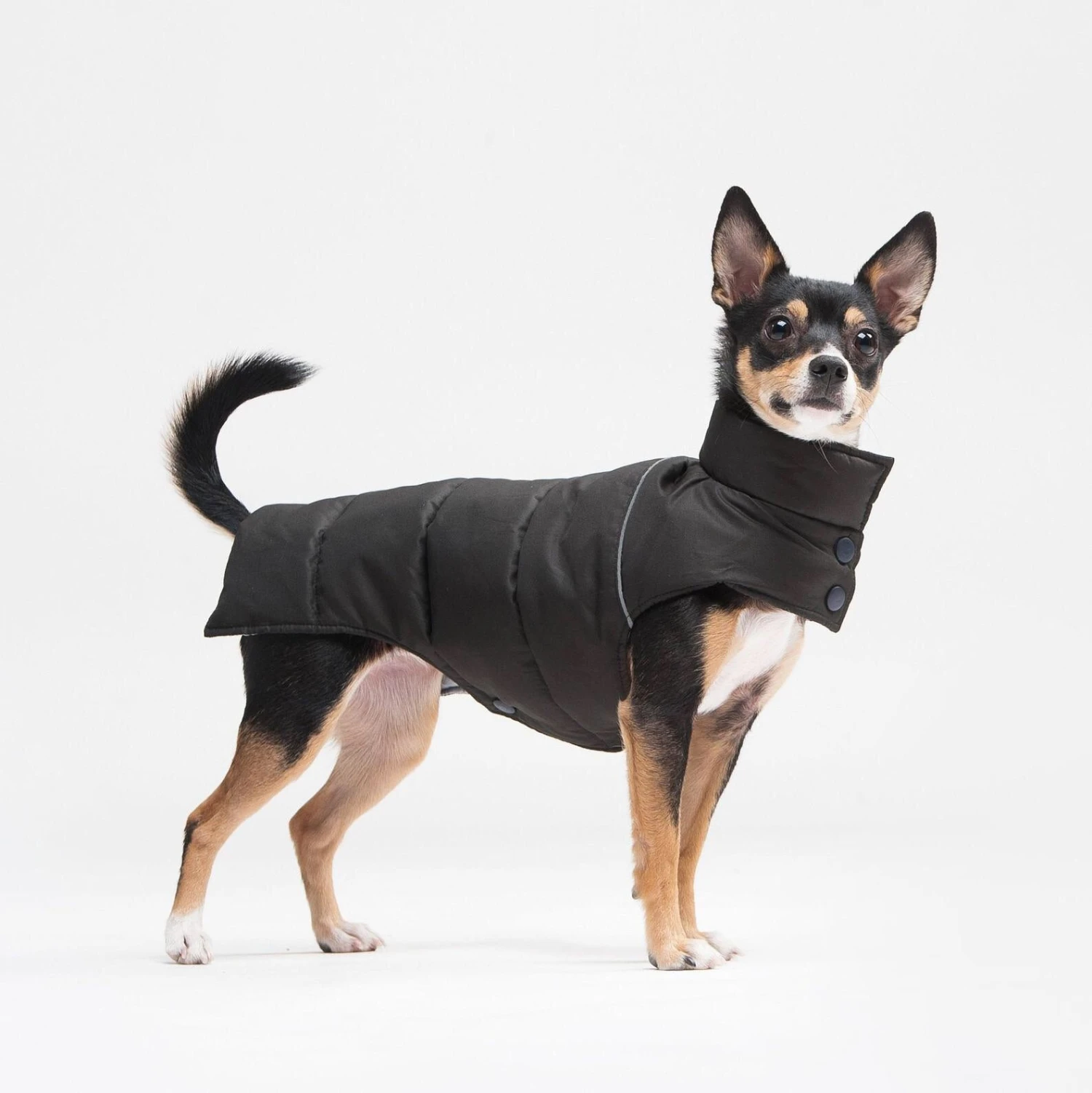 Manteau Pour Petit Chien 7 Manteau Pour Petit Chien – Image 5