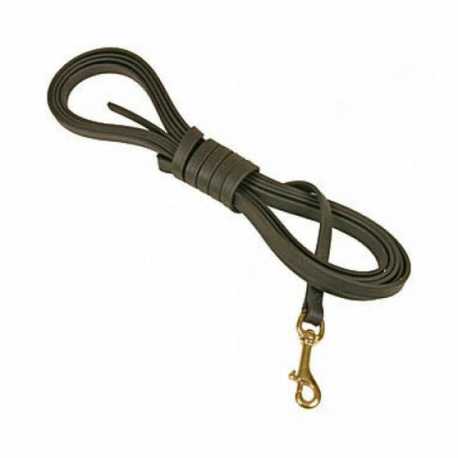 Longe Pour Chien En Biothane (5 Et 10m) 4 Longe Pour Chien En Biothane (5 Et 10m) – Image 2