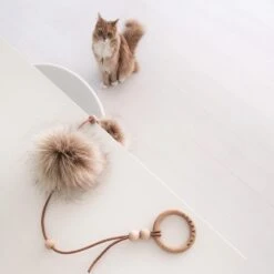 Jouet Pour Chat Musse 9 Jouet Pour Chat Musse -Produits Chien Chat Magasin image 8fa99005 9fd3 4e8b aa78 99048da9157c