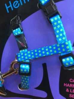 Harnais Et Laisse à Pois Pour Chat -Produits Chien Chat Magasin image 9c6b61b8 3f17 4850 9b2a beb28f015ea9