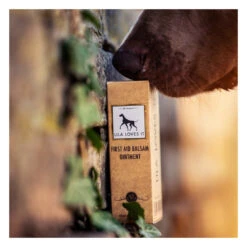 Sérum Premiers Soins Pour Chien Et Chat -Produits Chien Chat Magasin image 9e0456c3 c897 4394 945c f324549d4041