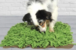 Tapis De Fouille Gazon Schnüffelrasen 9 Tapis De Fouille Gazon Schnüffelrasen -Produits Chien Chat Magasin image b79f824c fdab 44fd a29b 8e1f14c77a04