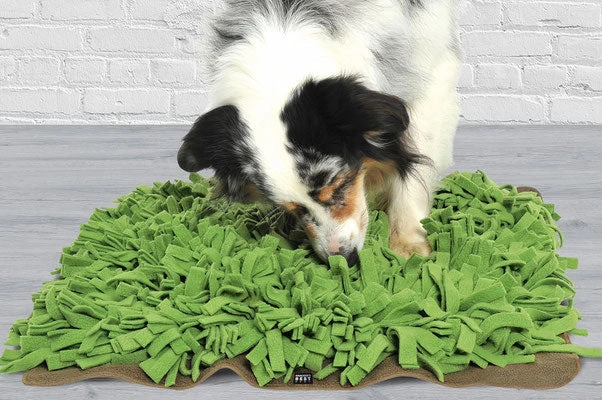 Tapis De Fouille Gazon Schnüffelrasen 6 Tapis De Fouille Gazon Schnüffelrasen – Image 4