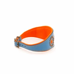 Collier Pour Lévrier En Cuir Dwam -Produits Chien Chat Magasin image ba14bda9 e908 4bc5 8610 0dab6d9cc0ce