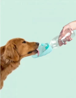 Gourde Pour Chien Avec Distributeur D’eau -Produits Chien Chat Magasin image da096c9f e155 4014 a19b 6373ed4b7a8d