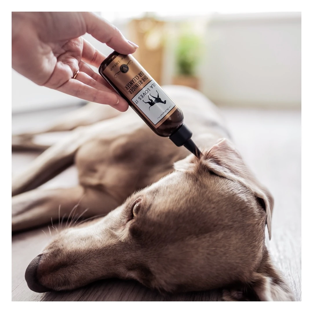 Soin Nettoyant Oreilles Pour Chien Et Chat 5 Soin Nettoyant Oreilles Pour Chien Et Chat – Image 3