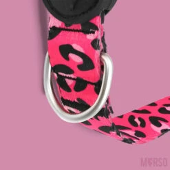 Collier Pour Chien Bubble Leo -Produits Chien Chat Magasin image e7abd9e1 c6fe 4786 9f05 ae55680d771b