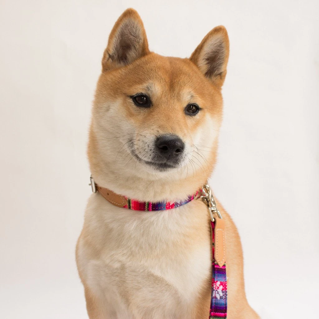 Collier Pour Chien Cuir Et Tissu Inca Pink 4 Collier Pour Chien Cuir Et Tissu Inca Pink – Image 2