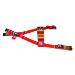 Harnais Pour Chien Inca Orange -Produits Chien Chat Magasin inca orange dog harness flat web 450x450 13caefbf 053c 44cf b33d 7a0ff0d3ec19