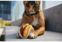 PLAY Peluche Tacos Pour Chien Collection International Classic -Produits Chien Chat Magasin international classic toy collection by p.l.a.y. tail wagging taco