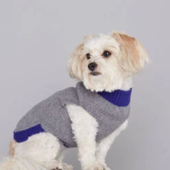 Pull En Laine Pour Chien Mark -Produits Chien Chat Magasin jersey mark r gris